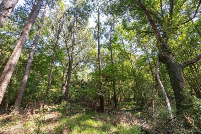 Tract 8 CR 4221, Frankston, TX 75763
