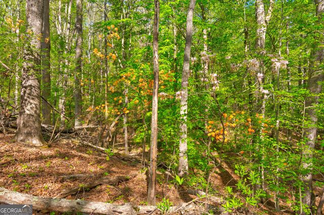 4033 Hidden Hollow Drive, Gainesville, GA 30506