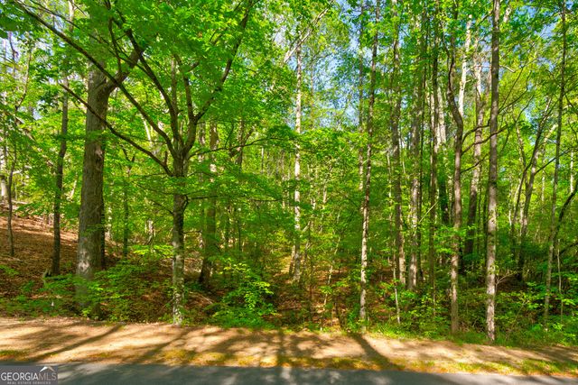 4033 Hidden Hollow Drive, Gainesville, GA 30506