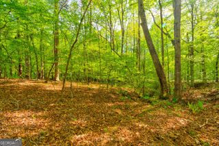 4033 Hidden Hollow Drive, Gainesville, GA 30506
