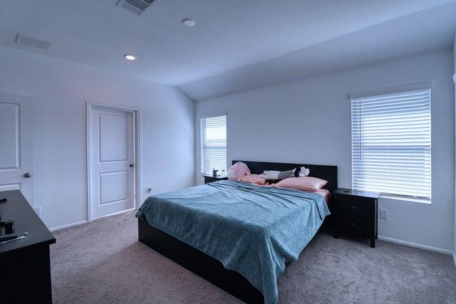 23911 Falling Daylight Drive, Hockley, TX 77447