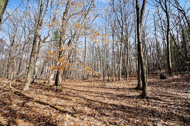 9370 S Hannah Lane, Grant, MI 49327