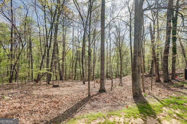 310 Rock Hill Dr, Fayetteville, GA 30215