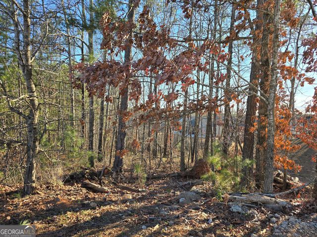 8351 Dublin Drive, Winston, GA 30187