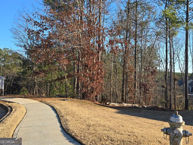 8351 Dublin Drive, Winston, GA 30187