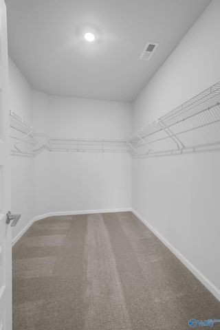 11051 Wayland Ridge Drive, Madison, AL 35756