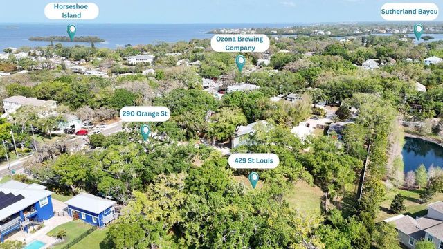 290 ORANGE STREET, Palm Harbor, FL 34683