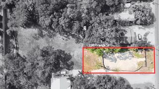 290 ORANGE STREET, Palm Harbor, FL 34683