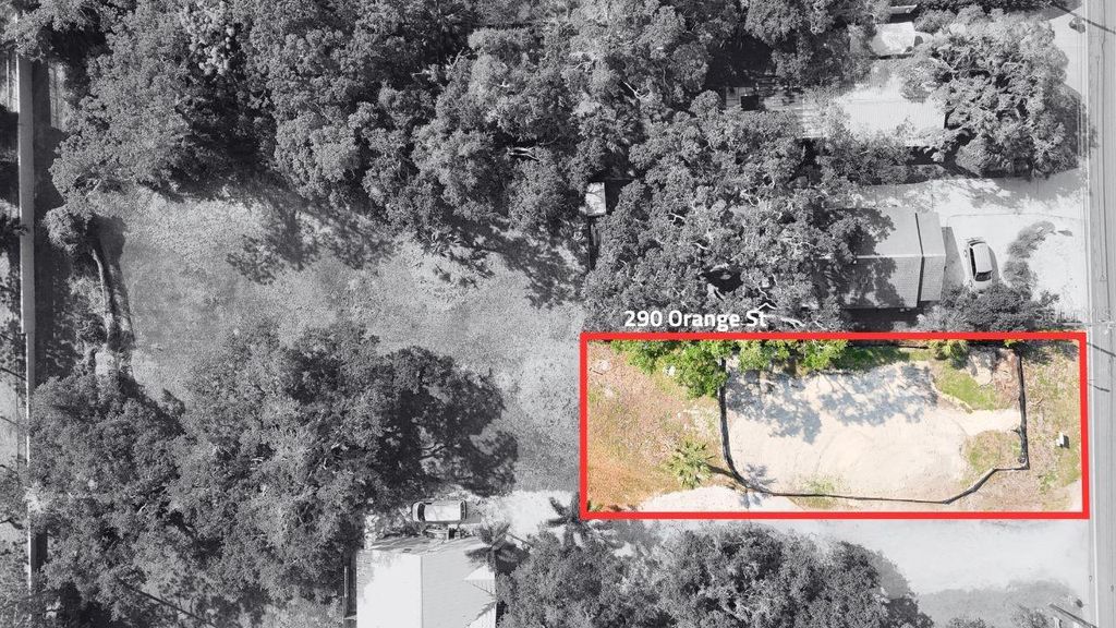 290 ORANGE STREET, Palm Harbor, FL 34683