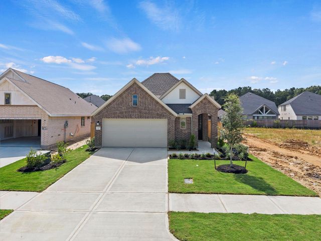 229 Violet Crown Lane, New Caney, TX 77357