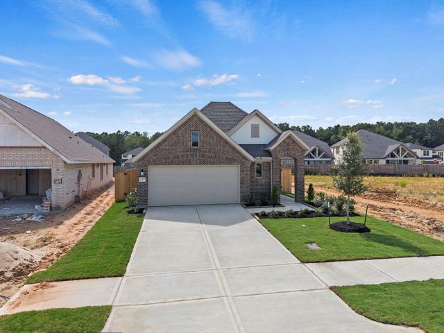 229 Violet Crown Lane, New Caney, TX 77357