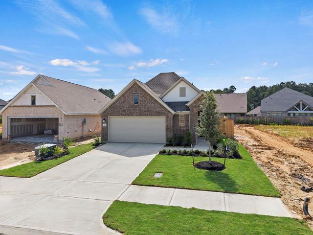 229 Violet Crown Lane, New Caney, TX 77357