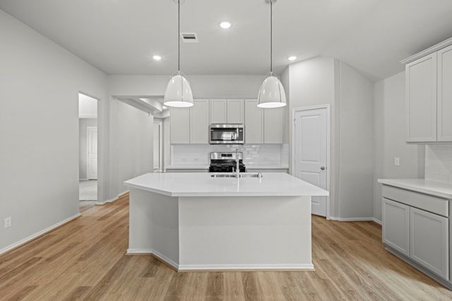 229 Violet Crown Lane, New Caney, TX 77357