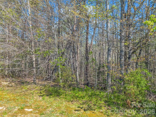 83 Sunny Morning Court, Hendersonville, NC 28792