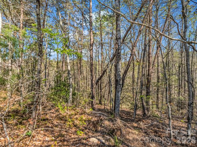83 Sunny Morning Court, Hendersonville, NC 28792
