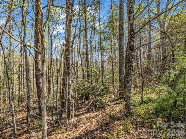 83 Sunny Morning Court, Hendersonville, NC 28792