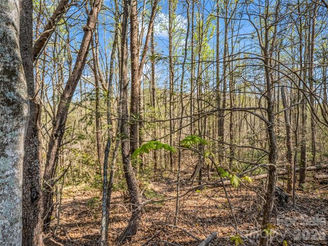 83 Sunny Morning Court, Hendersonville, NC 28792