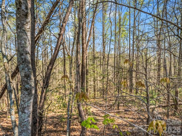 83 Sunny Morning Court, Hendersonville, NC 28792