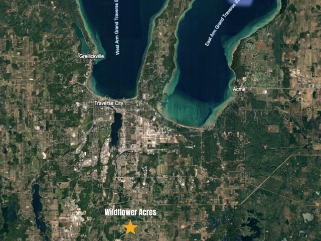 1165 Aster Lane, Traverse City, MI 49696