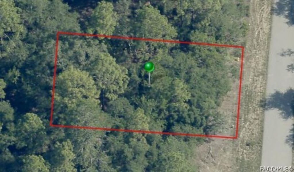 3957 W Wilburton Drive, Dunnellon, FL 34433
