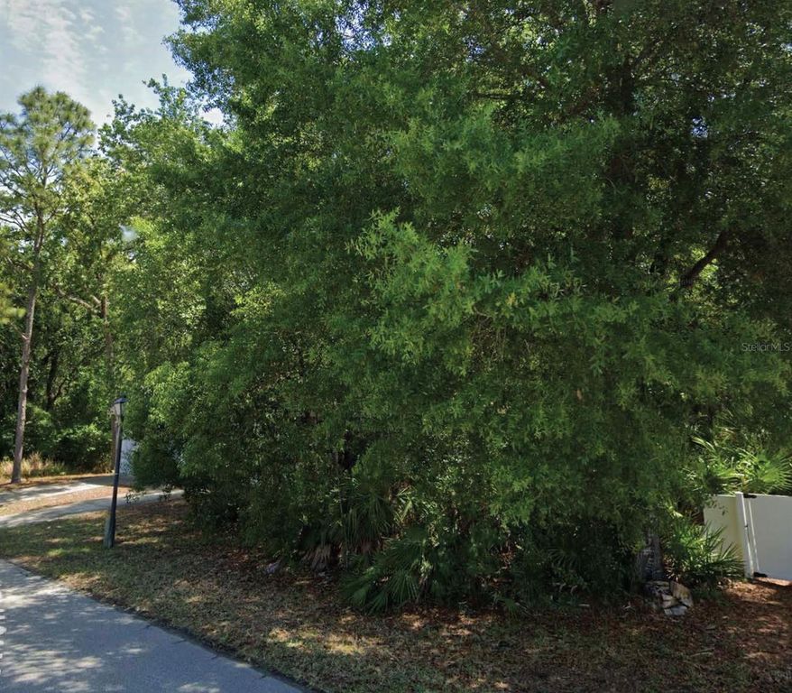 49 GOLFVIEW DRIVE, Homosassa, FL 34446