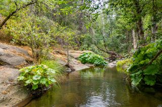 Ponderosa Way-198 Acres Avenue, Shingletown, CA 96088