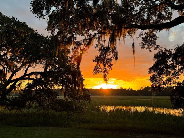 3398 Freeman Hill Road, Johns Island, SC 29455