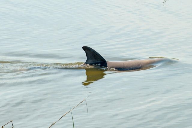 3398 Freeman Hill Road, Johns Island, SC 29455