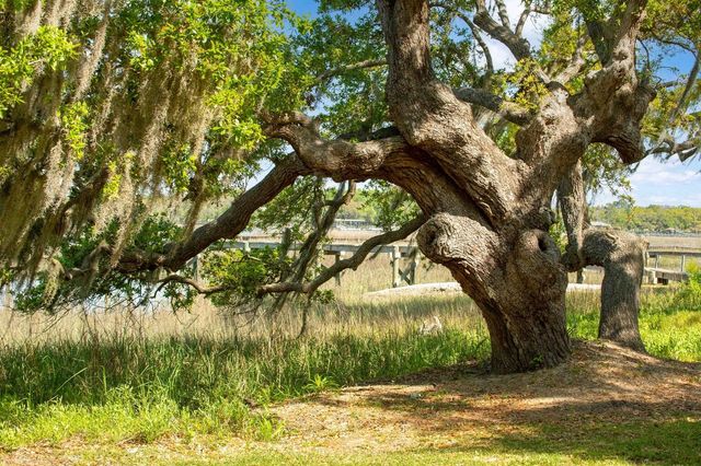 3398 Freeman Hill Road, Johns Island, SC 29455