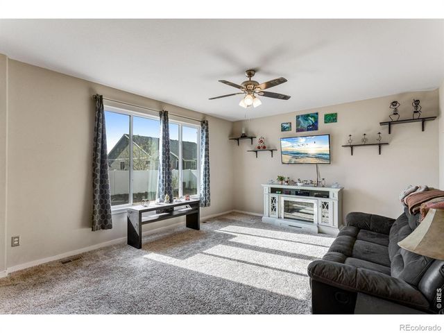 6913 Pettigrew Street, Wellington, CO 80549