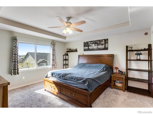 6913 Pettigrew Street, Wellington, CO 80549