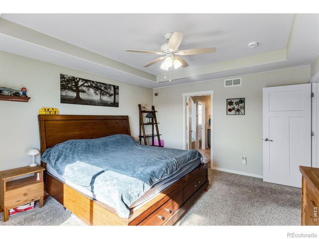 6913 Pettigrew Street, Wellington, CO 80549