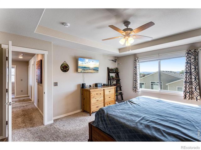6913 Pettigrew Street, Wellington, CO 80549