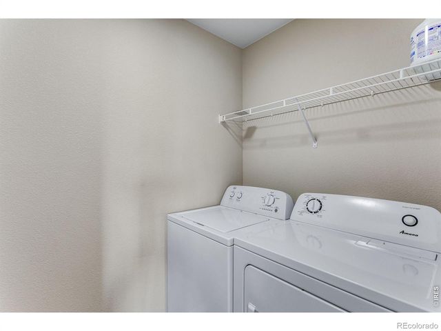 6913 Pettigrew Street, Wellington, CO 80549