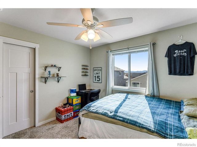 6913 Pettigrew Street, Wellington, CO 80549