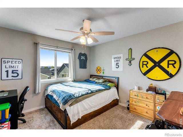 6913 Pettigrew Street, Wellington, CO 80549