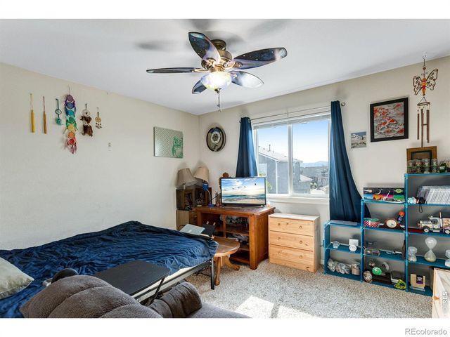6913 Pettigrew Street, Wellington, CO 80549