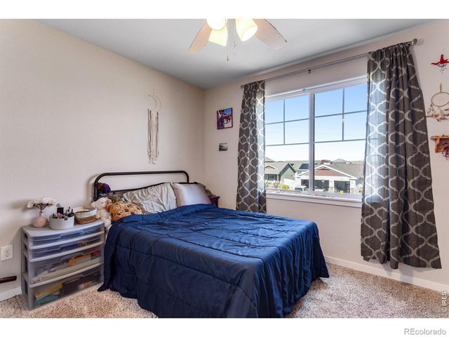 6913 Pettigrew Street, Wellington, CO 80549