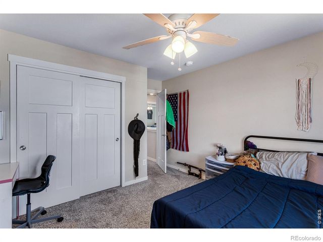 6913 Pettigrew Street, Wellington, CO 80549