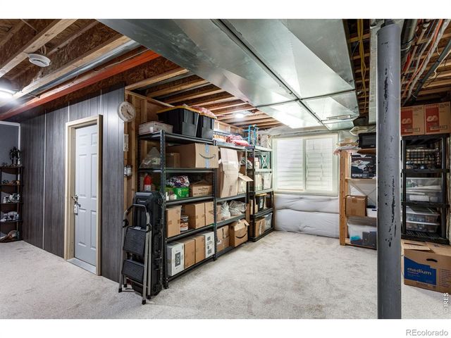 6913 Pettigrew Street, Wellington, CO 80549