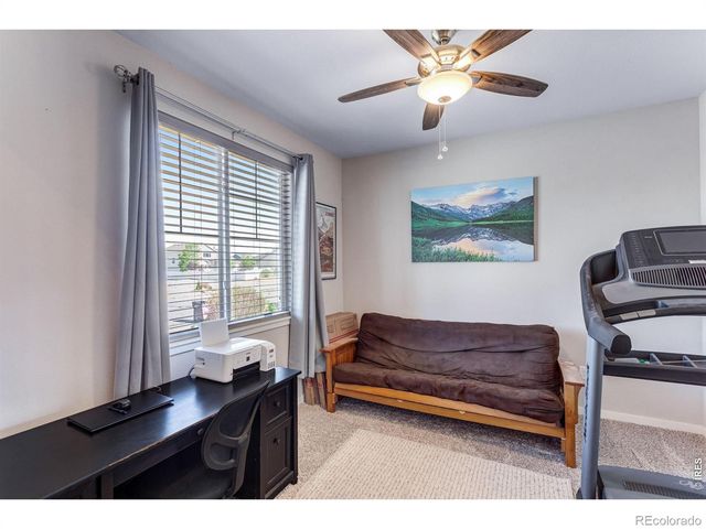 6913 Pettigrew Street, Wellington, CO 80549