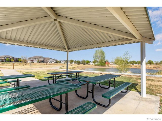 6913 Pettigrew Street, Wellington, CO 80549