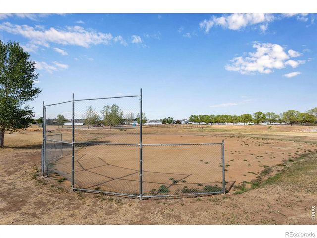 6913 Pettigrew Street, Wellington, CO 80549