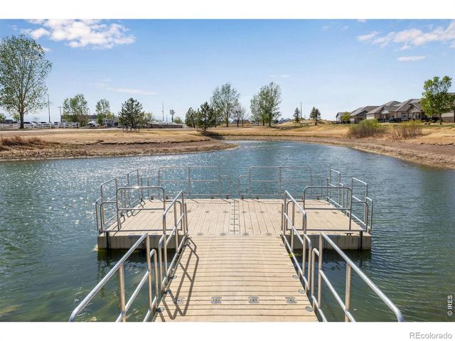 6913 Pettigrew Street, Wellington, CO 80549