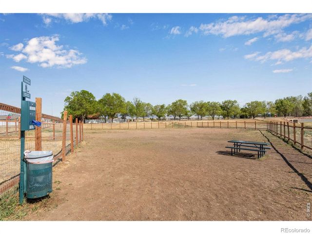 6913 Pettigrew Street, Wellington, CO 80549