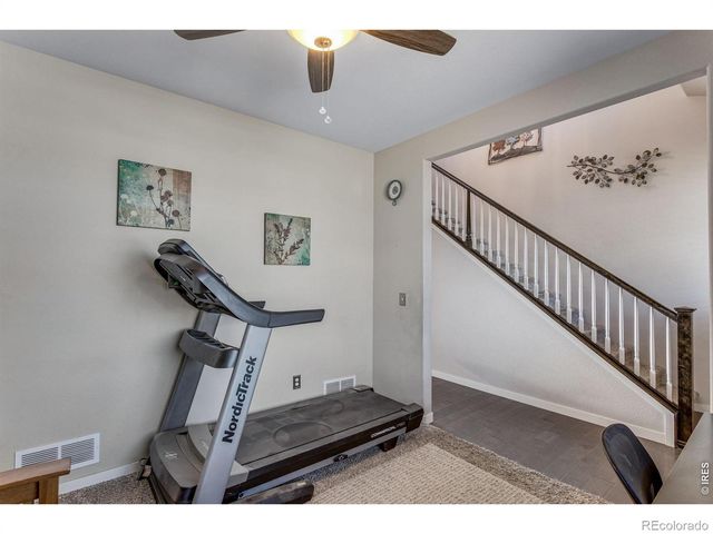 6913 Pettigrew Street, Wellington, CO 80549