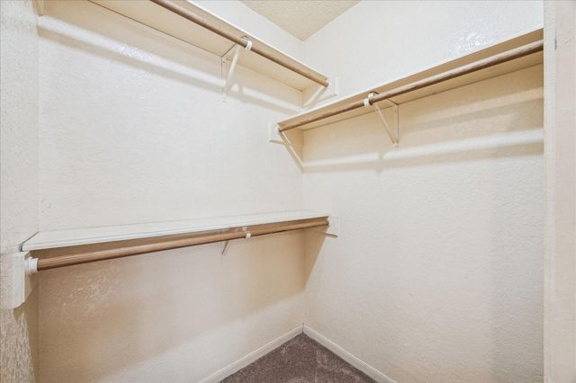 2704 Pine Needle Lane, Pearland, TX 77581