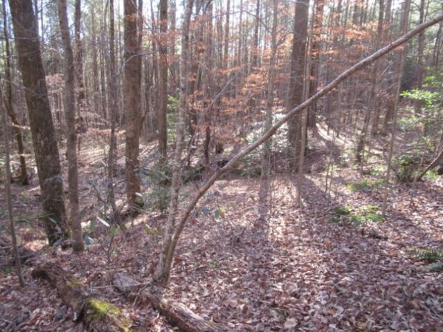 11 Matthews Creek Road, Cleveland, SC 29635