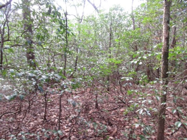 11 Matthews Creek Road, Cleveland, SC 29635