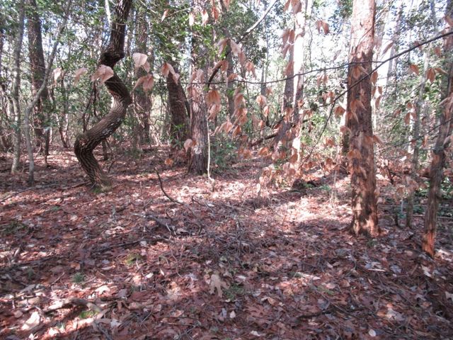 11 Matthews Creek Road, Cleveland, SC 29635